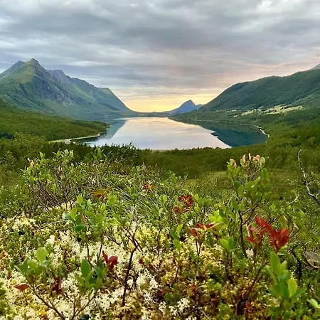 빌라 - Northern Lights And Midnight Sun Reipå