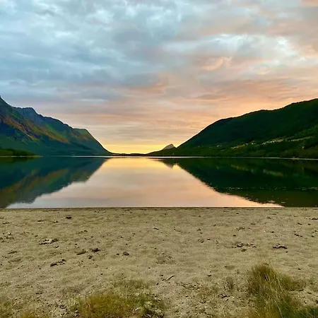 - Northern Lights And Midnight Sun