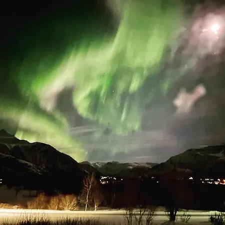 - Northern Lights And Midnight Sun *