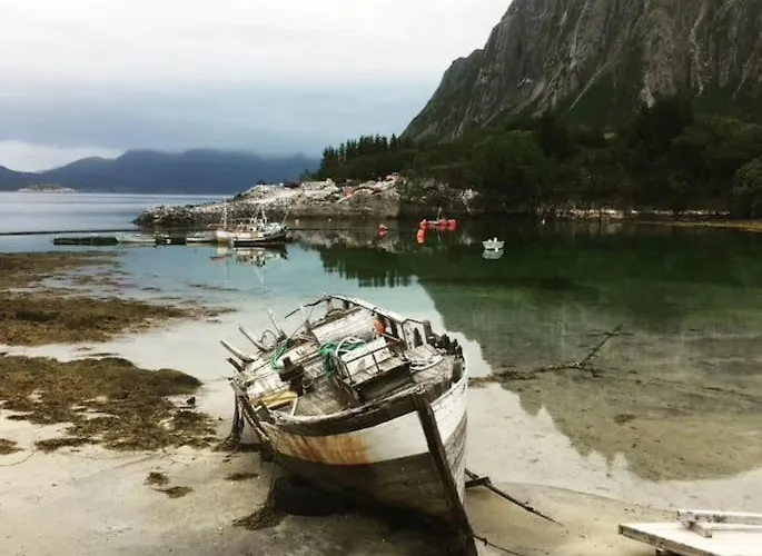 - Northern Lights And Midnight Sun *