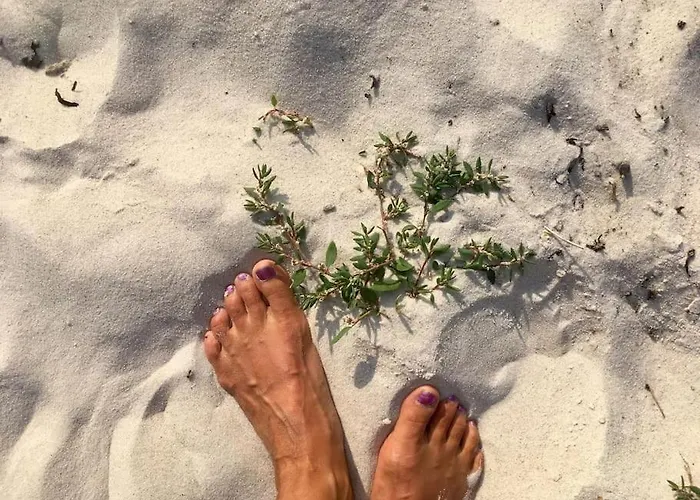 - Northern Lights And Midnight Sun * Reipå