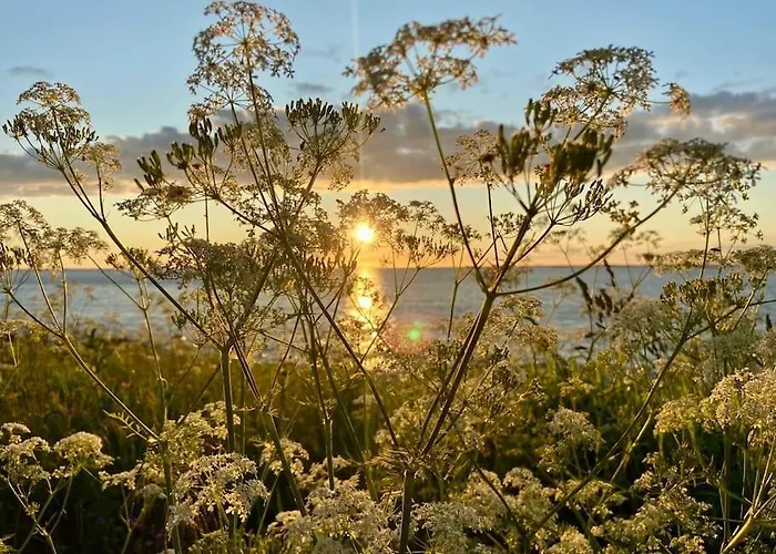 - Northern Lights And Midnight Sun Villa Reipå