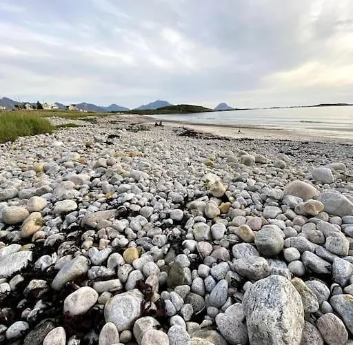 - Northern Lights And Midnight Sun *