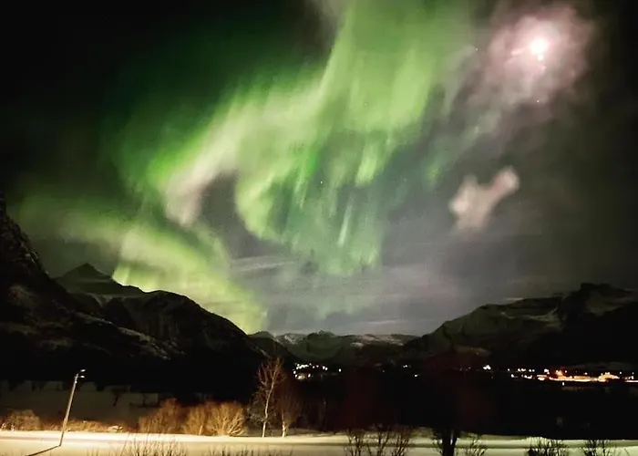 - Northern Lights And Midnight Sun *