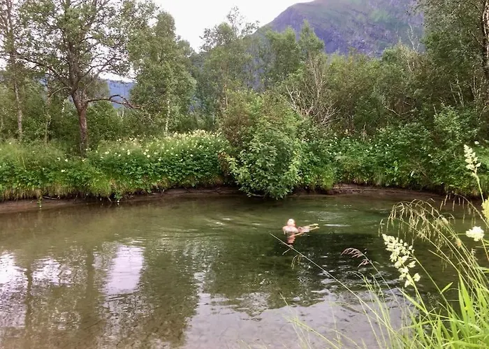 - Northern Lights And Midnight Sun Reipå