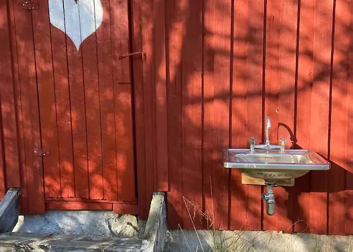 - Northern Lights And Midnight Sun * Reipå