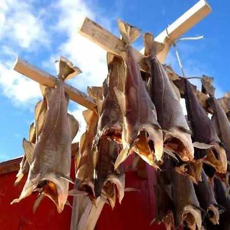 Villa - Northern Lights And Midnight Sun Reipå