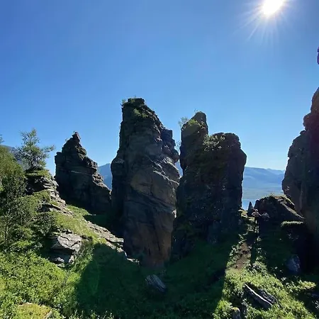 - Northern Lights And Midnight Sun