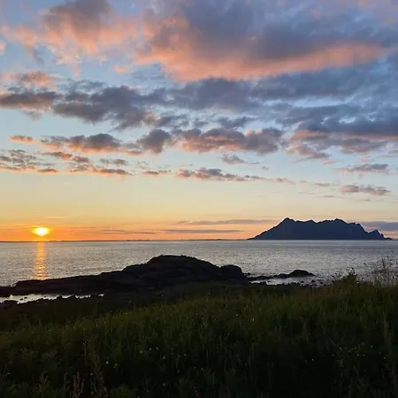 - Northern Lights And Midnight Sun *