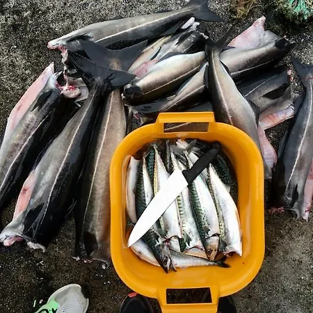 - Northern Lights And Midnight Sun * Reipå