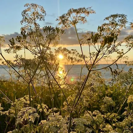 - Northern Lights And Midnight Sun Villa Reipå