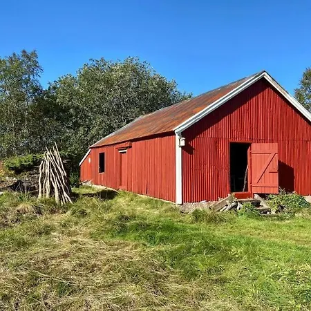 - Northern Lights And Midnight Sun Reipå