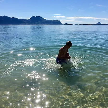 - Northern Lights And Midnight Sun