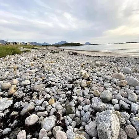 - Northern Lights And Midnight Sun *