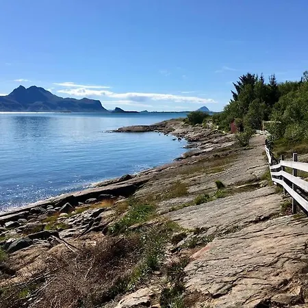 - Northern Lights And Midnight Sun *