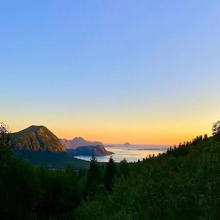 - Northern Lights And Midnight Sun