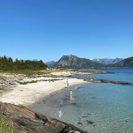 - Northern Lights And Midnight Sun Villa *