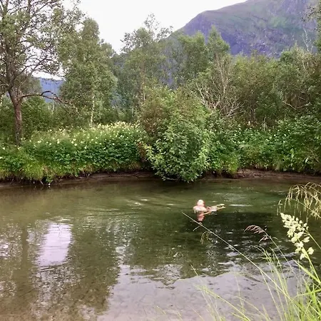 - Northern Lights And Midnight Sun Reipå